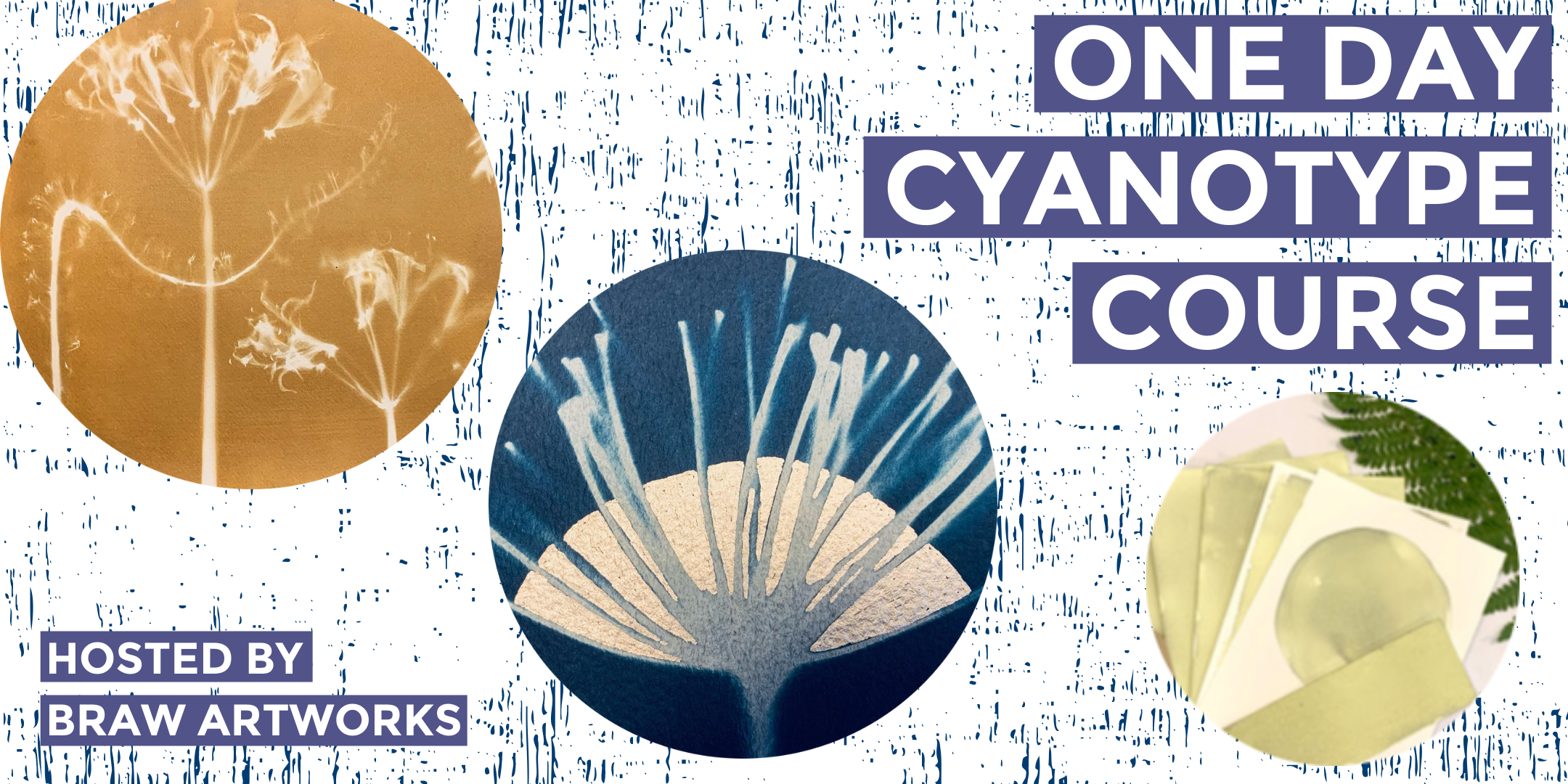 Cyanotype Eventbrite